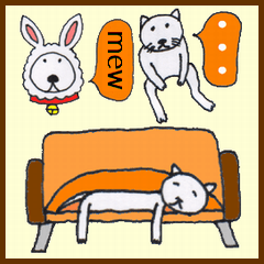 Playful Pretty KITTY