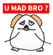 Dog GOLDEN LABRADOR RETRIEVER sticker #4697451