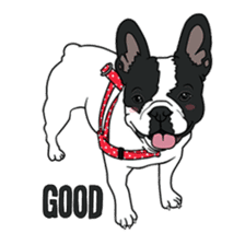 French bulldog Friend 2 sticker #4698792