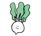 Fruit and Vegetables 2 sticker #4700275