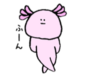 Ambystoma mexicanum sticker #4700609