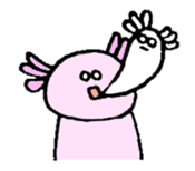 Ambystoma mexicanum sticker #4700614