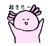 Ambystoma mexicanum sticker #4700620