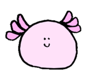 Ambystoma mexicanum sticker #4700631