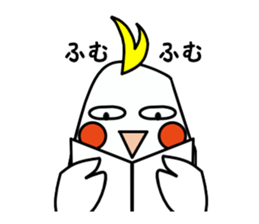 eye with bad cockatiel sticker #4701679