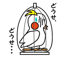 eye with bad cockatiel sticker #4701689
