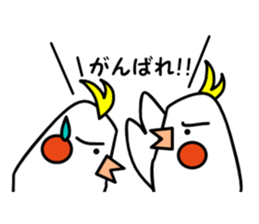 eye with bad cockatiel sticker #4701691