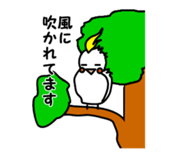 eye with bad cockatiel sticker #4701692