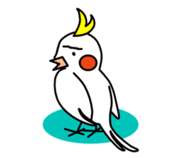 eye with bad cockatiel sticker #4701707