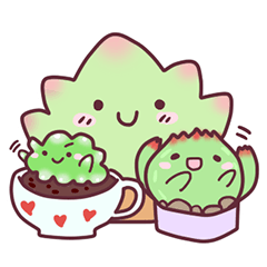 succulent plant party(International)