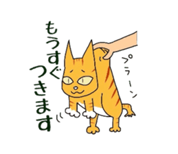 Cat of Japanese Bobtail sticker #4702463