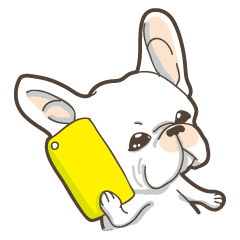 French Bulldog Bonjour