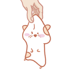 very very very cute hamster