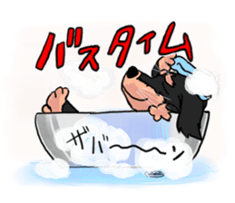 Dachshund Mr. go sticker #4704443