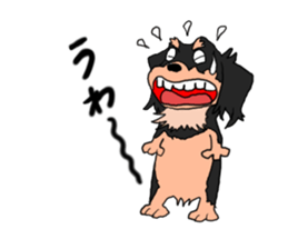 Dachshund Mr. go sticker #4704451