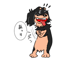 Dachshund Mr. go sticker #4704471