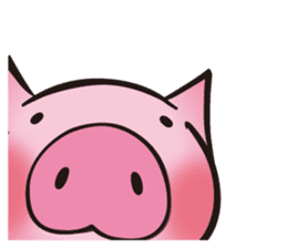 "BUU KO" of a pig sticker #4705100