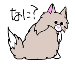 Norwegian cats sticker #4705161