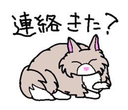 Norwegian cats sticker #4705163