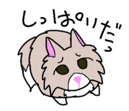 Norwegian cats sticker #4705164