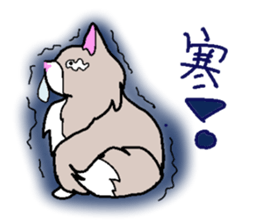 Norwegian cats sticker #4705170