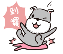 schnauzer's daily life sticker #4707510