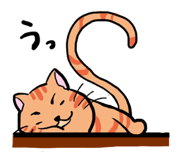 tiger cat sweet sticker #4709214