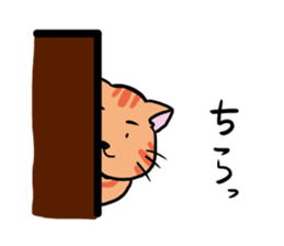 tiger cat sweet sticker #4709225