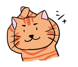 tiger cat sweet sticker #4709226