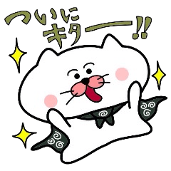 Furoshiki nyanko Matsukichi 4