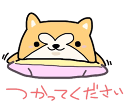 (B.B.B) as9 Zabuton is hard, too. sticker #4715092