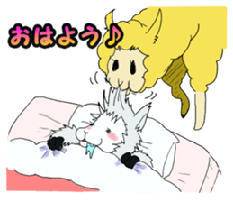 Acute Co., Ltd.