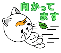 Wind cat sticker #4719764