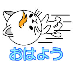 Wind cat sticker #4719766