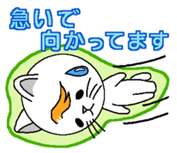 Wind cat sticker #4719768