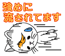 Wind cat sticker #4719769