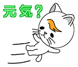 Wind cat sticker #4719790