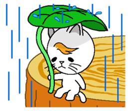 Wind cat sticker #4719796