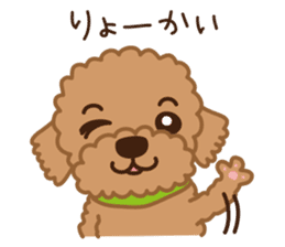 Toy Poodle "Captain" sticker #4722656