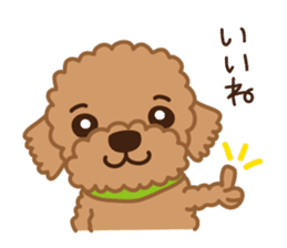 Toy Poodle "Captain" sticker #4722657