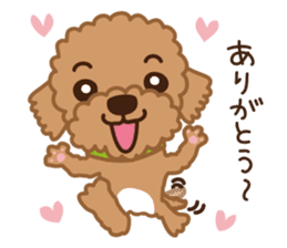 Toy Poodle "Captain" sticker #4722658