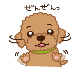 Toy Poodle "Captain" sticker #4722659