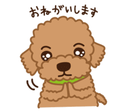 Toy Poodle "Captain" sticker #4722661