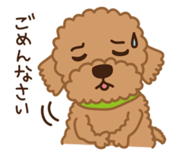 Toy Poodle "Captain" sticker #4722662