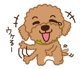 Toy Poodle "Captain" sticker #4722664