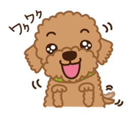 Toy Poodle "Captain" sticker #4722666
