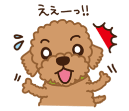 Toy Poodle "Captain" sticker #4722667