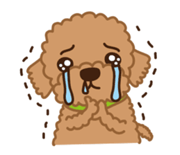 Toy Poodle "Captain" sticker #4722668