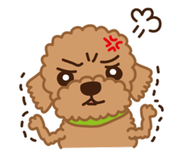 Toy Poodle "Captain" sticker #4722669