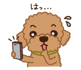 Toy Poodle "Captain" sticker #4722670